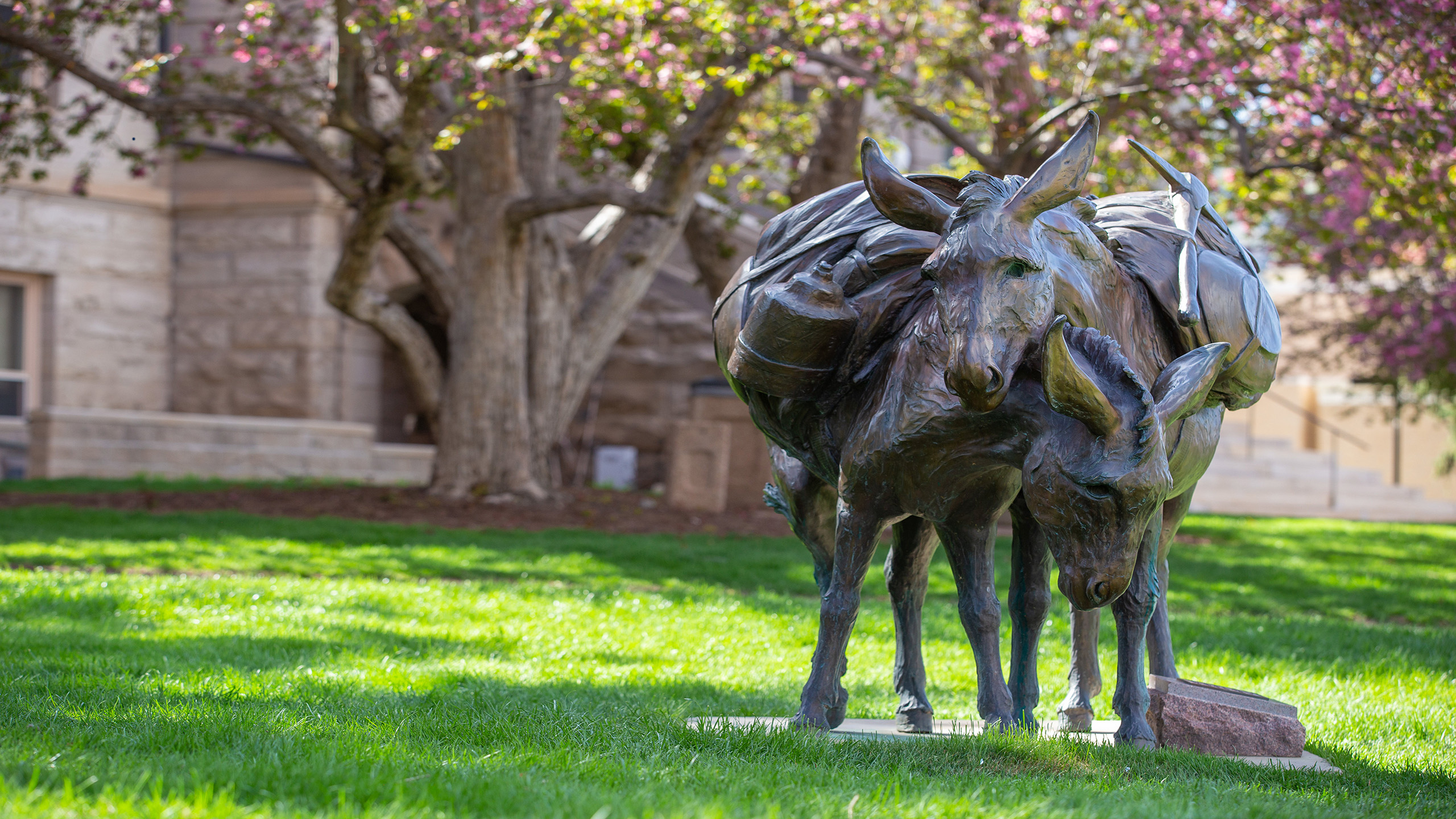 workshops-campus-image